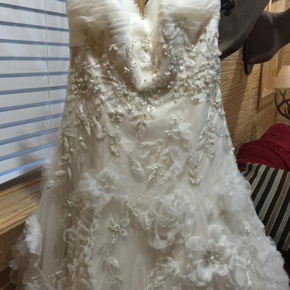 Wedding Dress - Picture 2 of 6